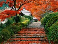 Garden Staircase, Kyoto, Japan pictures.jpeg